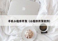 手机小程序开发（小程序开发软件）