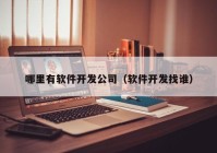 哪里有软件开发公司（软件开发找谁）