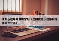 沈阳小程序开发哪家好（沈阳微信小程序制作哪家企业强）