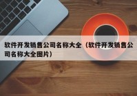 软件开发销售公司名称大全（软件开发销售公司名称大全图片）